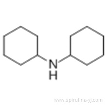 Dicyclohexylamine CAS 101-83-7